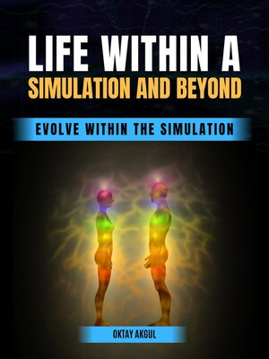 cover image of Life Within a Simulation and Beyond